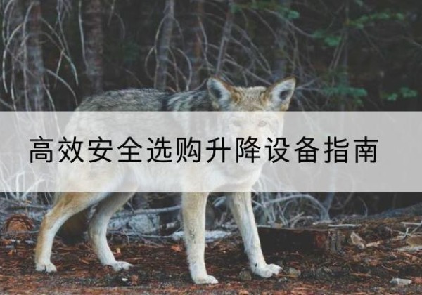前郭尔罗斯升降货梯厂家推荐-*安全选购升降设备指南