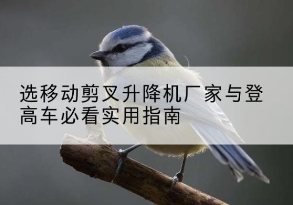 前郭尔罗斯电动升降机厂家-选移动剪叉升降机厂家与登高车必看实用指南