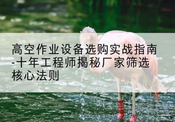 前郭尔罗斯剪叉式升降机厂家-高空作业设备选购实战指南-十年工程师揭秘厂家筛选核心法则